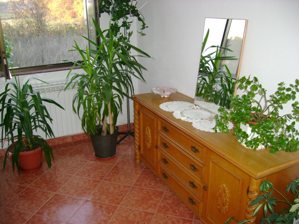 Guest House Robi Međugorje 객실 사진